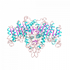 Alkaline PhosphataseUnder development