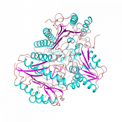 Creatinase