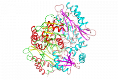 Creatinase (C2-AT)