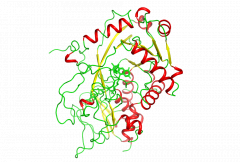 Fructosyl-peptide Oxidase (FPOX-CE)