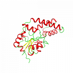 beta-Phosphoglucomutase